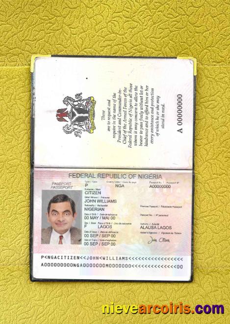 Nigeria passport (2007-2019) photolook